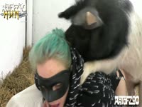 Pig has it its way with a chubby zoophilia loving slut